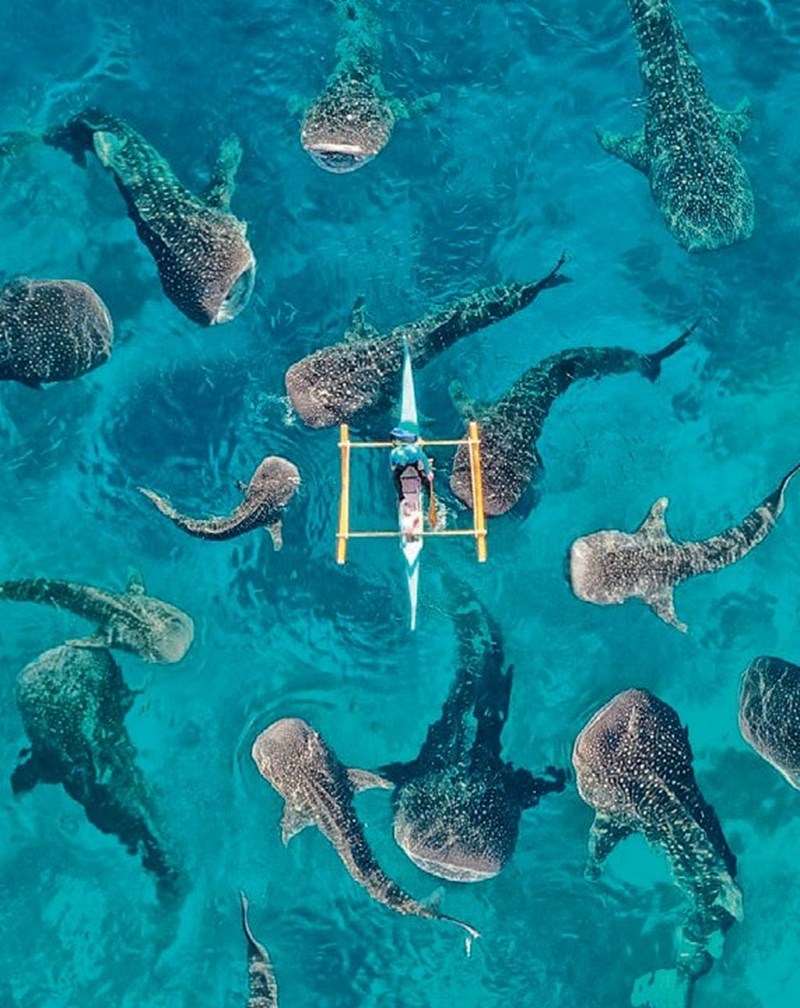 Κώστας Σπαθής