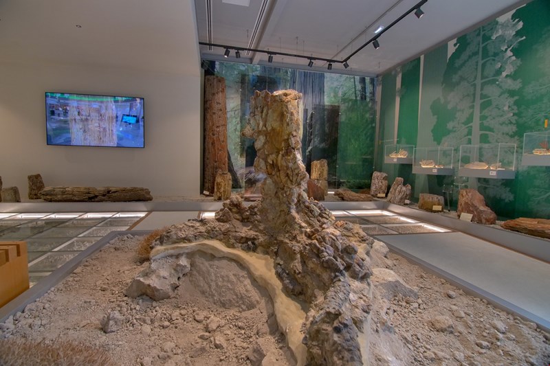 Μία στάση στο Μουσείο Φυσικής Ιστορίας για να ακούσεις, δεις, μάθεις