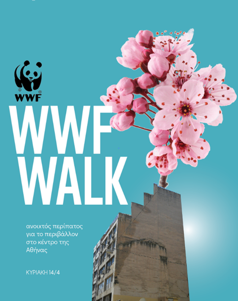 wwf walk