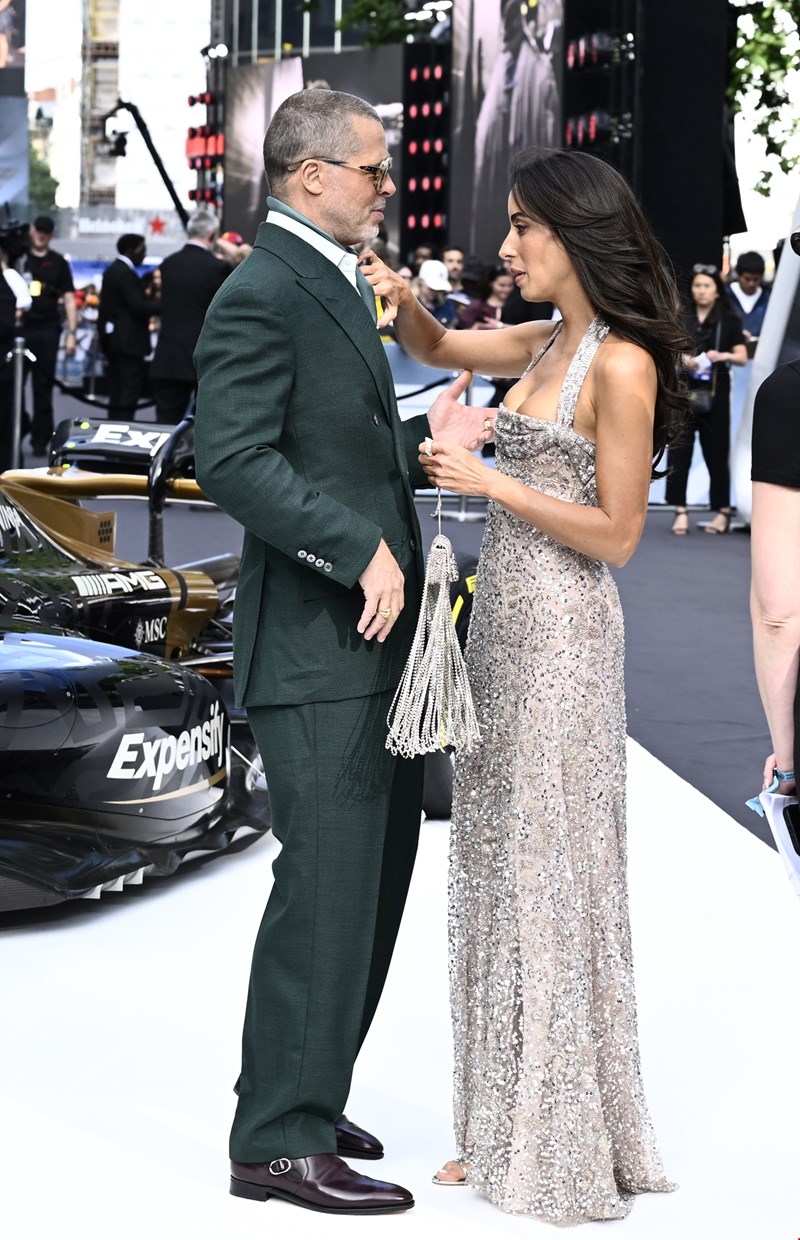brad pitt ines de ramon