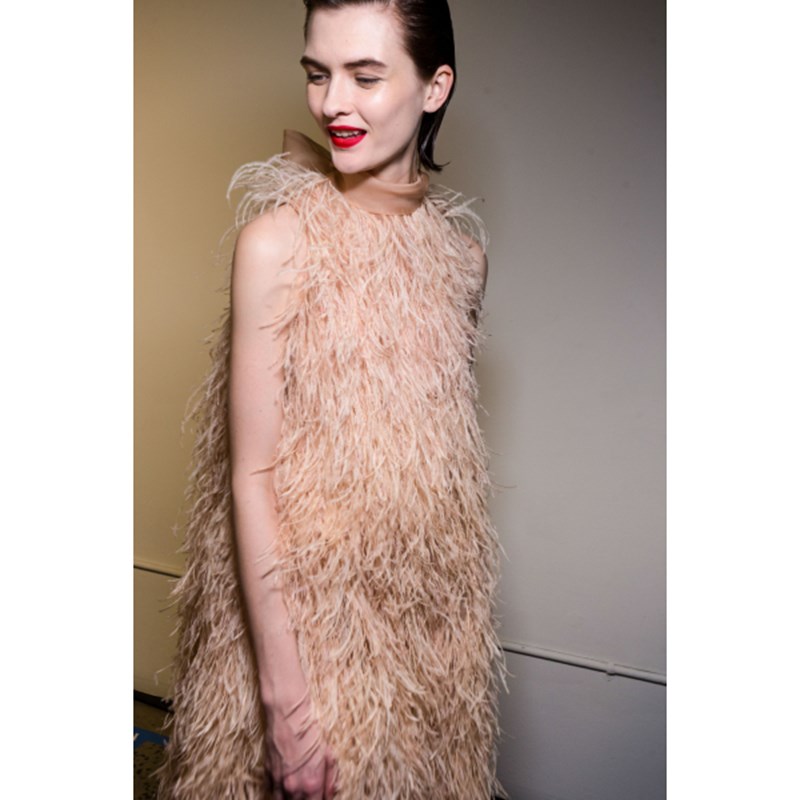 jason wu