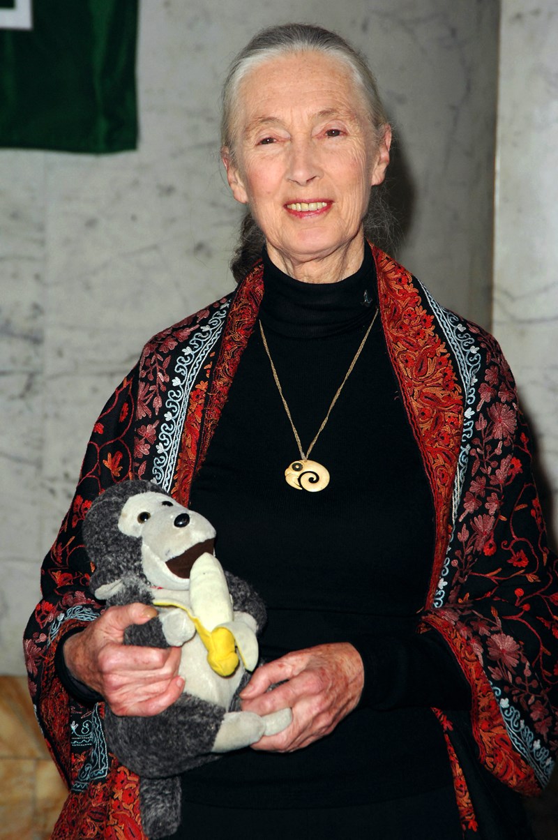 Dr Jane Goodall
