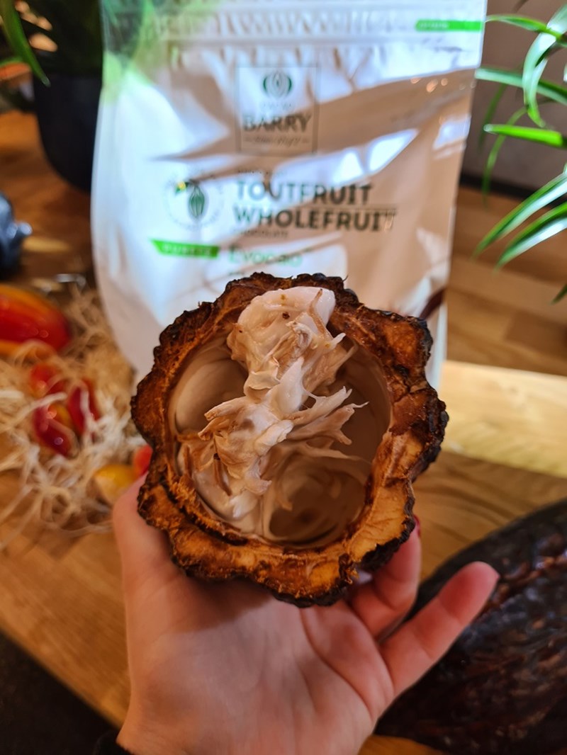 cacao barry