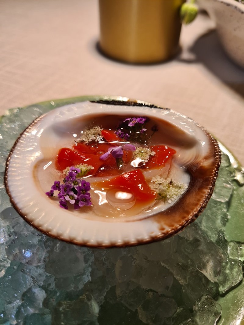 Sani Gourmet 2022