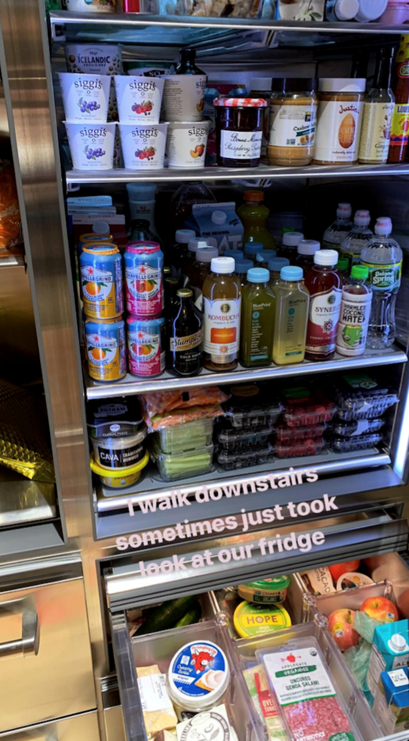 Bella Hadid Fridge 2