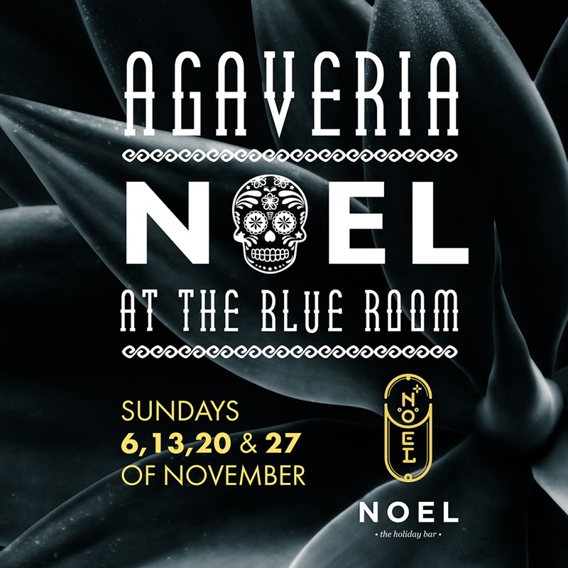 noel agaveria