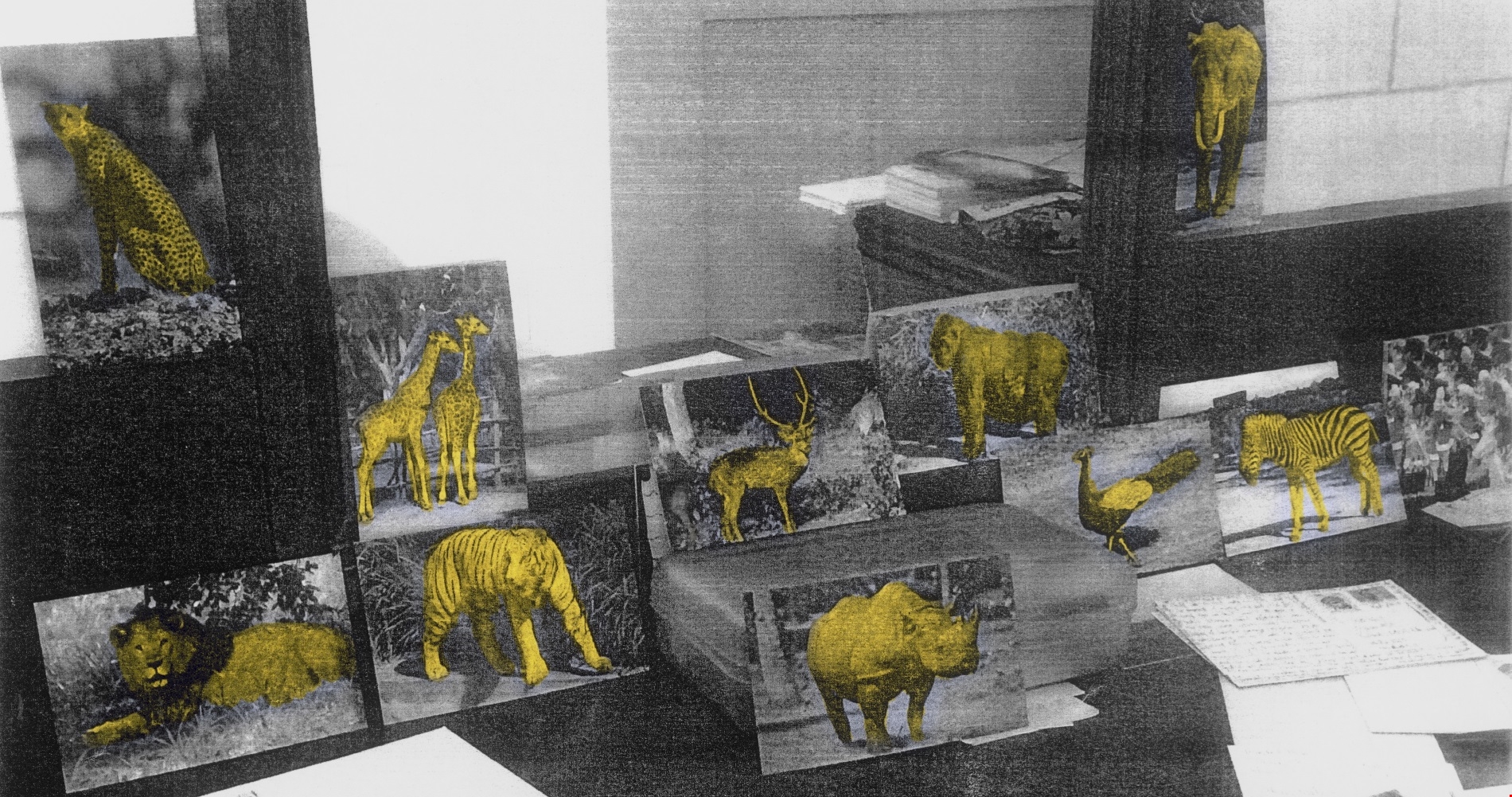 CineFIX | Θερινές προβολές στην ταράτσα του ΕΜΣΤ - εικόνα 1