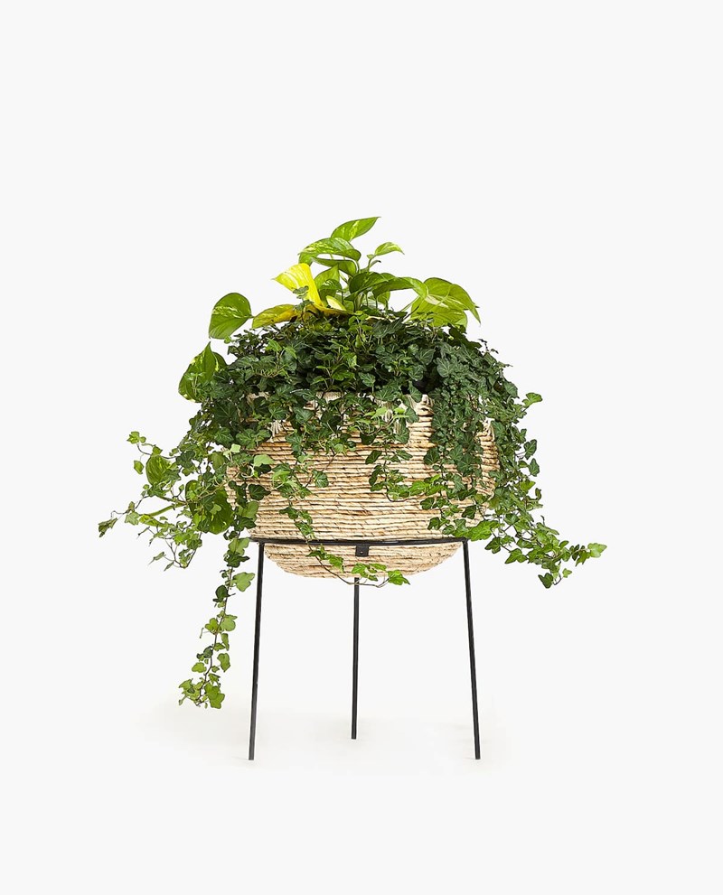 πλεκτή γλάστρα με βάση, ZARA