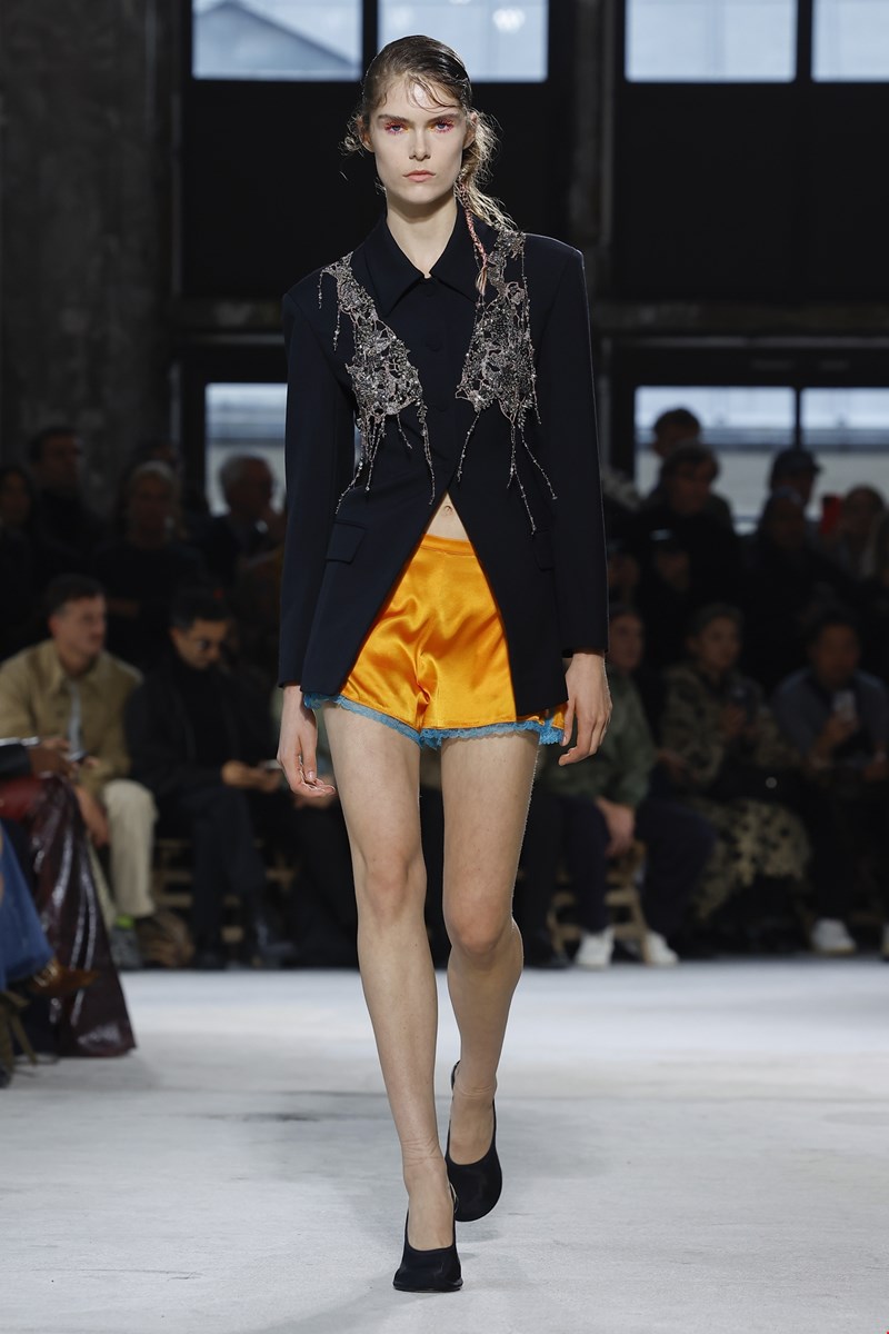 dries van noten