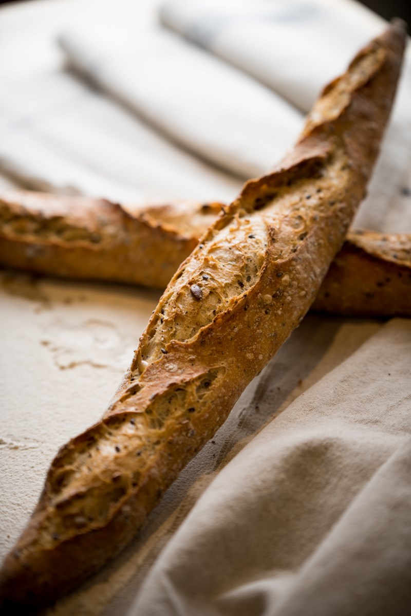 baguette polysporh