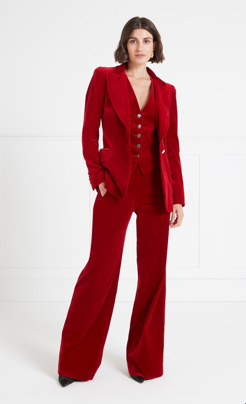 Clove Velvet suit Temperley London