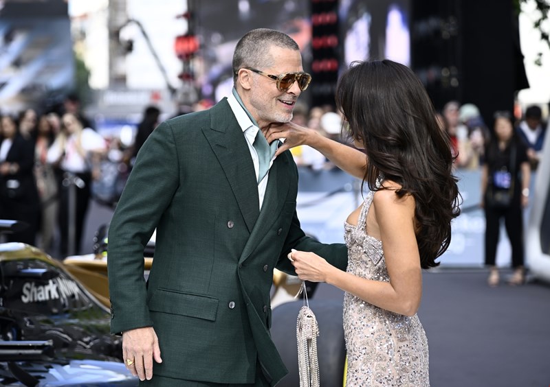 brad pitt ines de ramon
