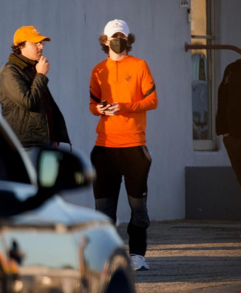 timothee chalamet