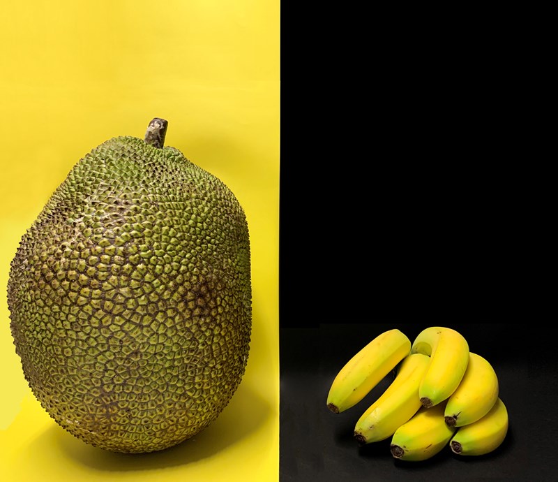 jackfruit
