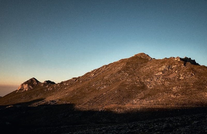 Πάνος Δάβιος