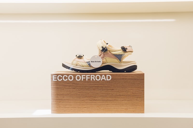 ECCO