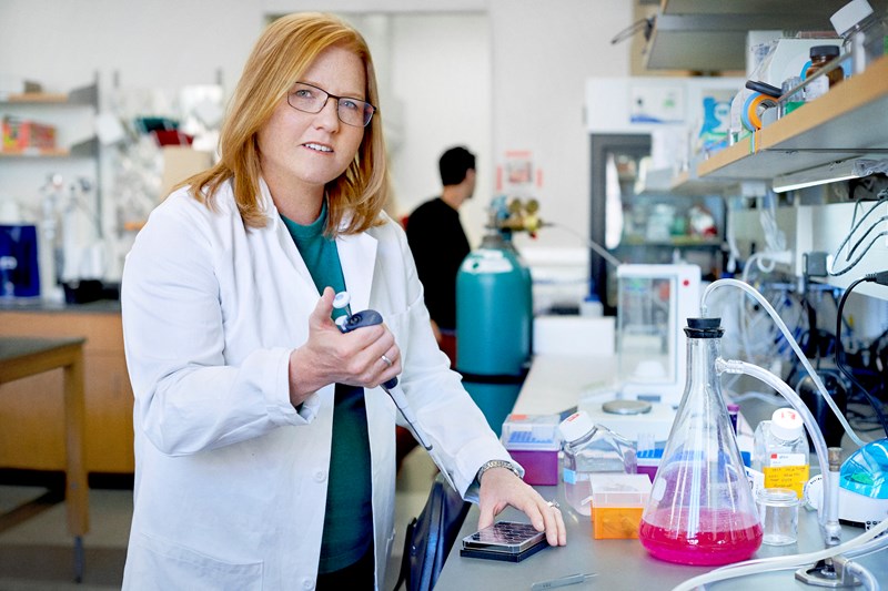 Laureate for North America