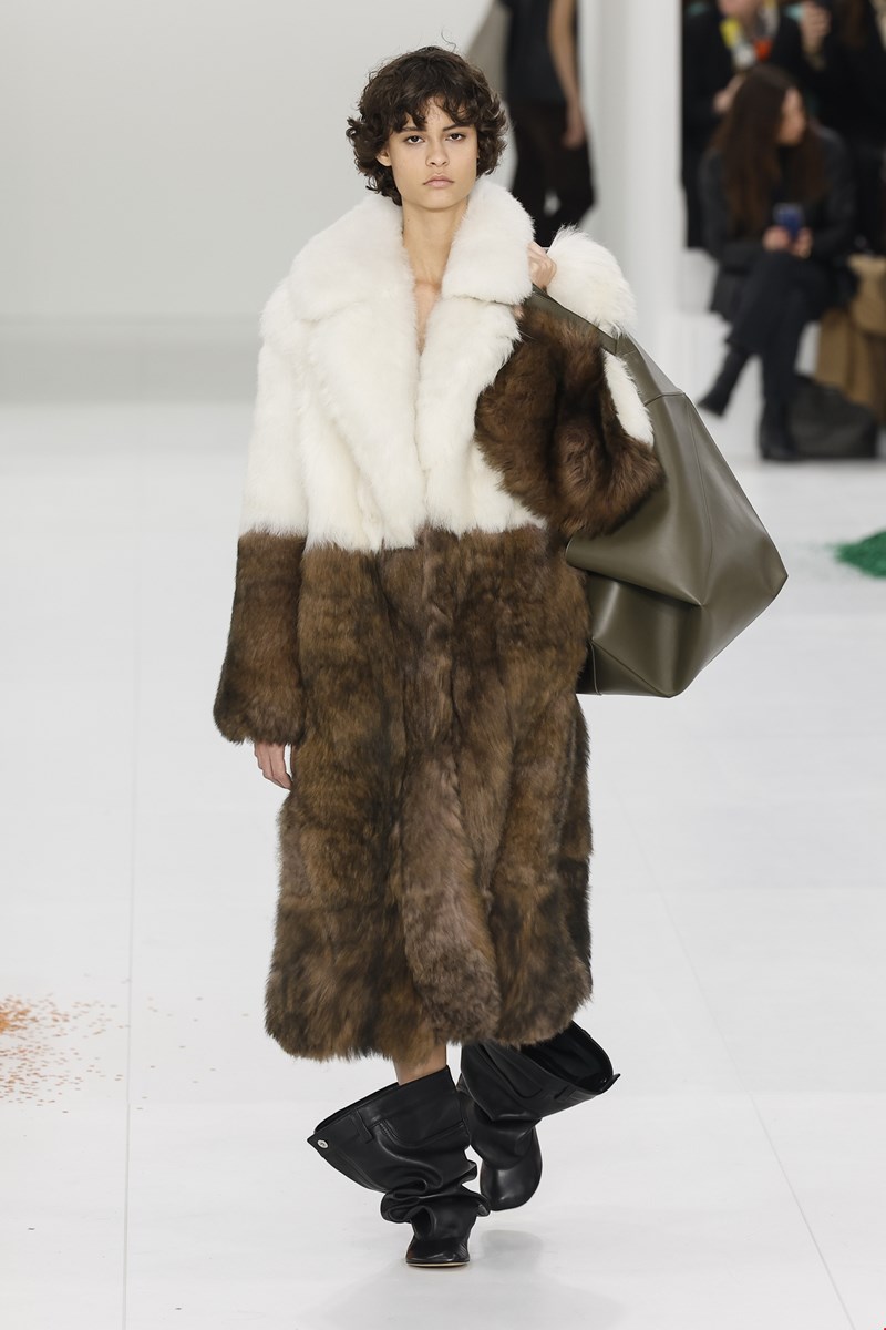 loewe