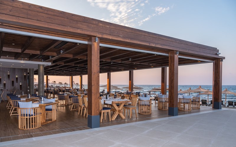 Nights Of Gastronomy