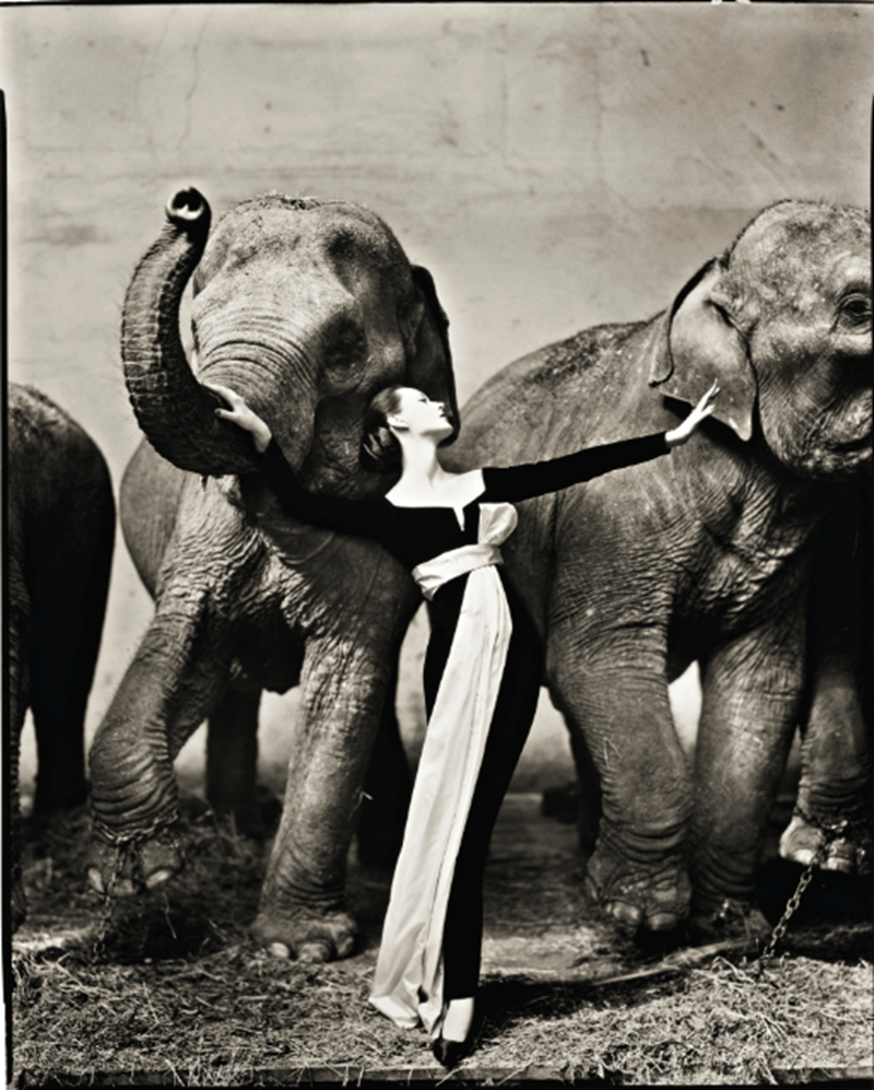 richard avedon
