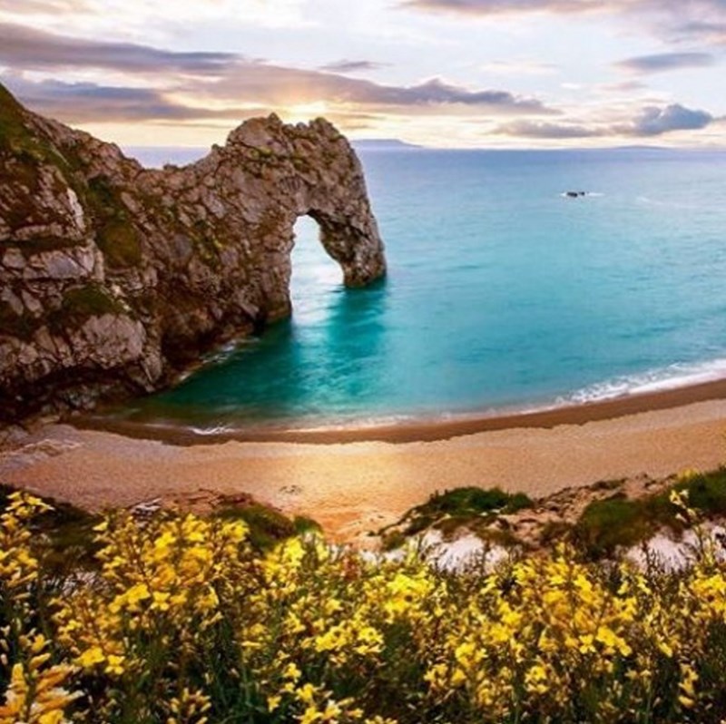 dorset