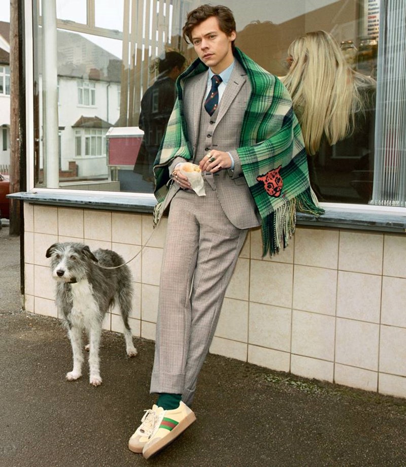harry styles