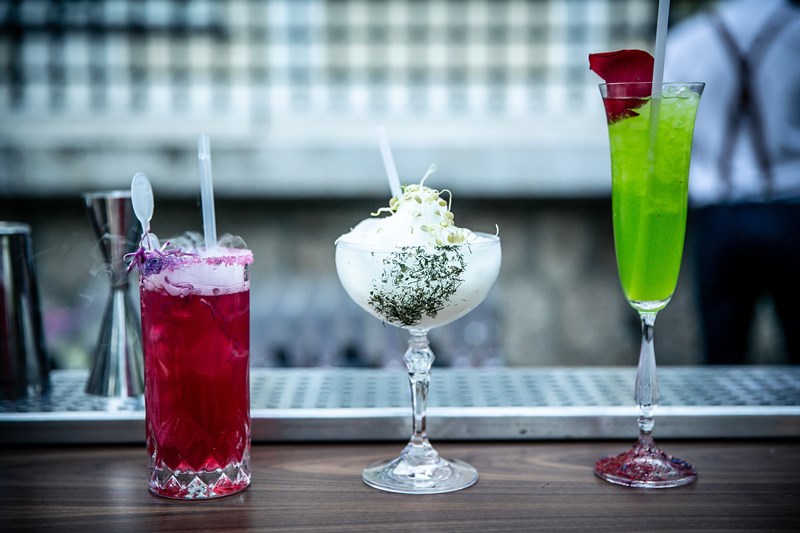 Hendricks Gin An Unusual Night at the Museum