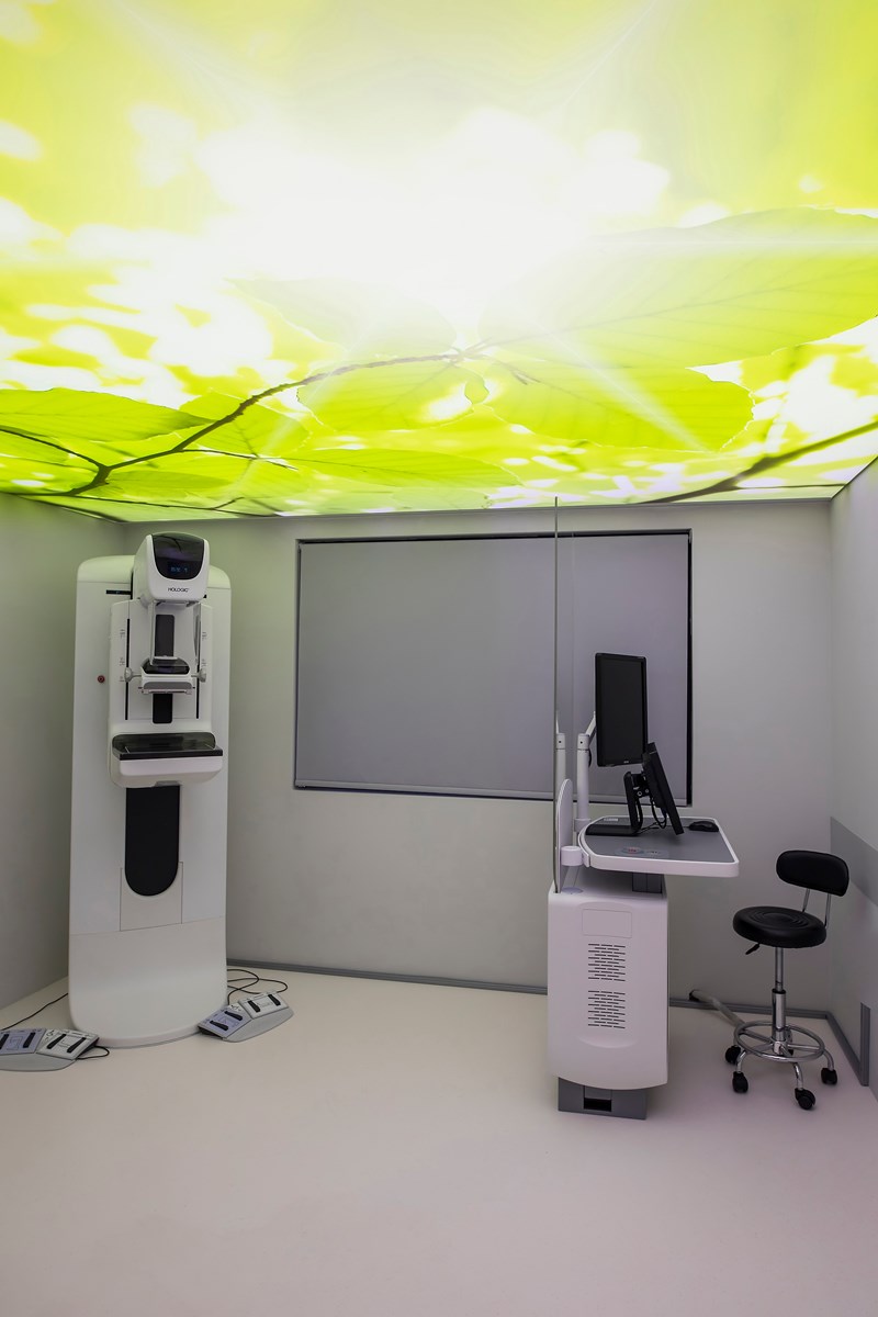 Λευκός Σταυρός