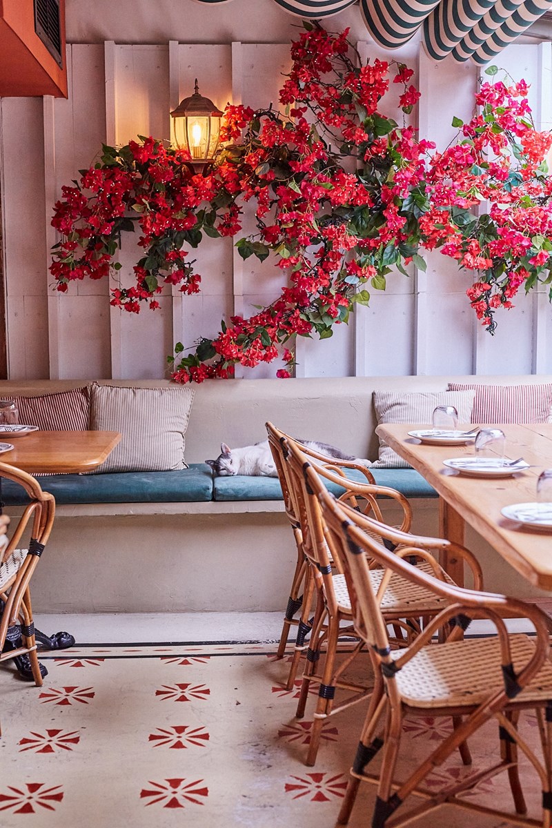 Barolo Athens