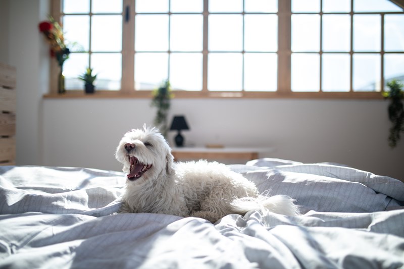 istock