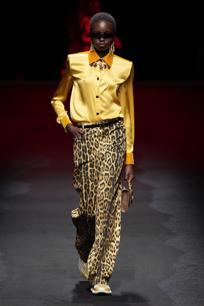 Roberto Cavalli