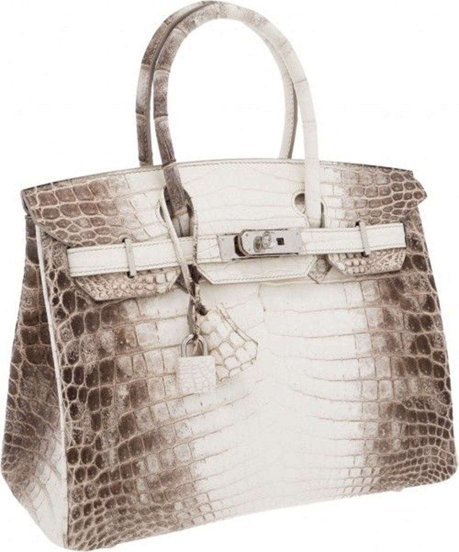 Hermes крокодил. Hermes birkin crocodile. hermes himalayan birkin. hermes kelly крокодил. hermes crocodile bags.