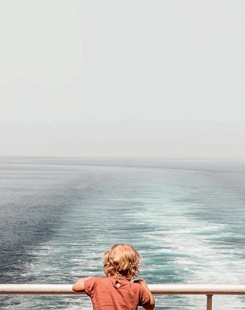 Φάνης Παυλόπουλος