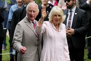 Η Mako της Ιαπωνίας έγινε μητέρα - εικόνα 1