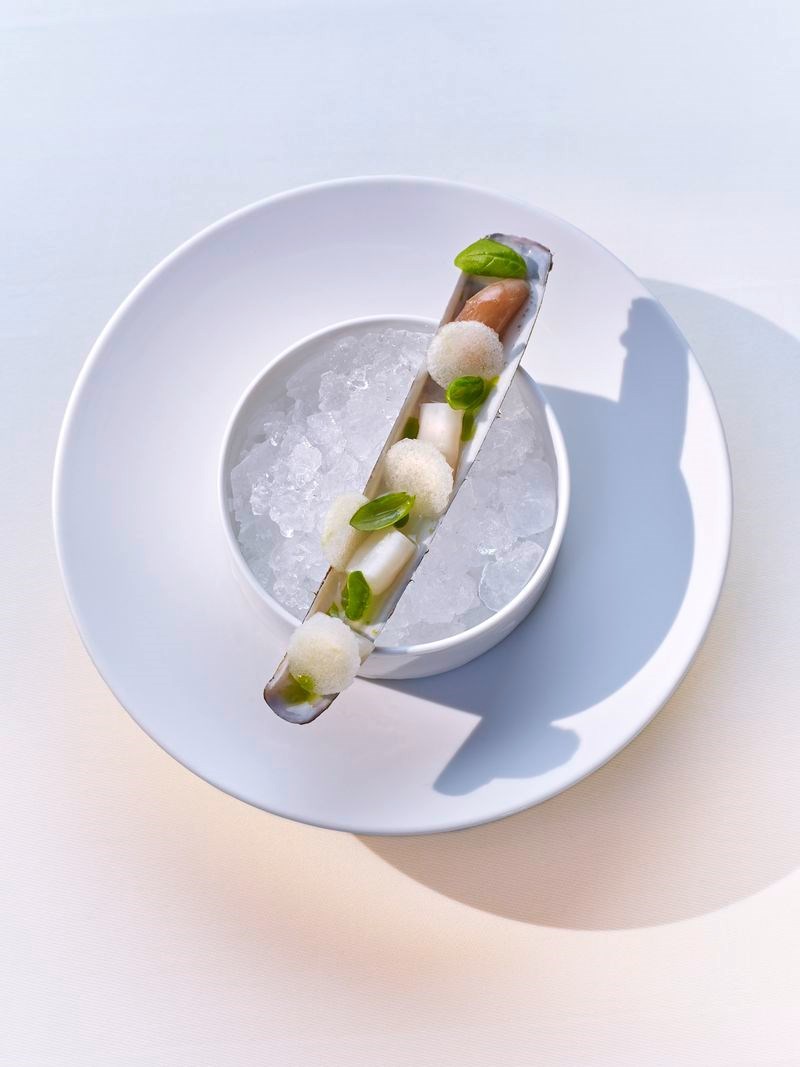 Sani Gourmet