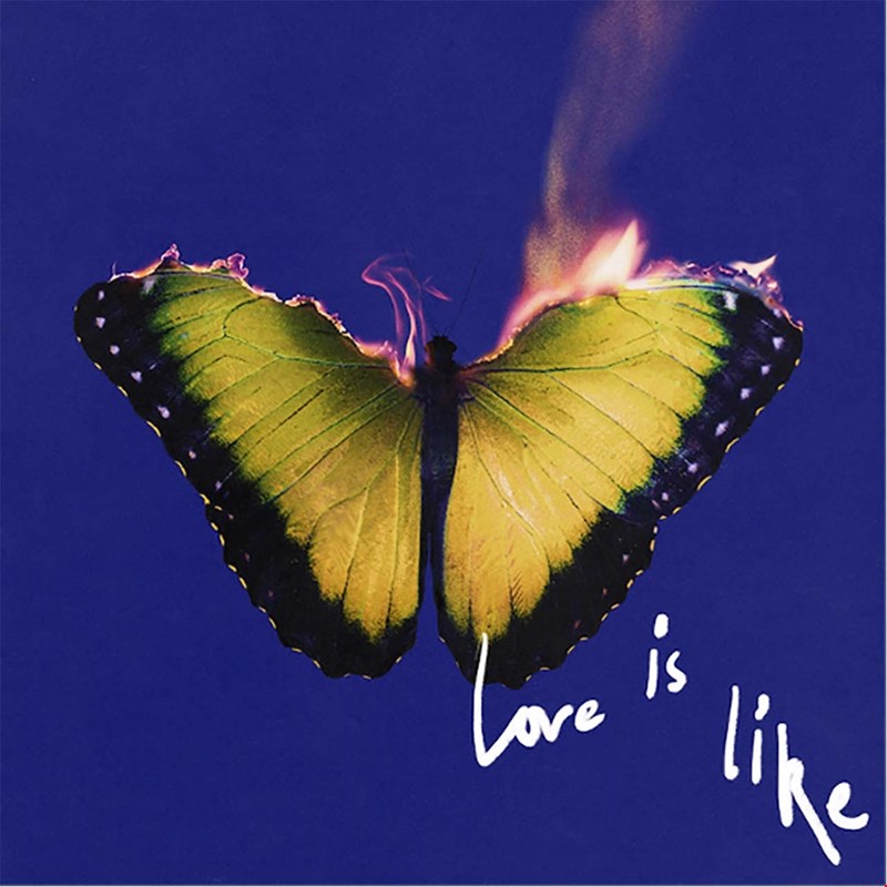 Love is like