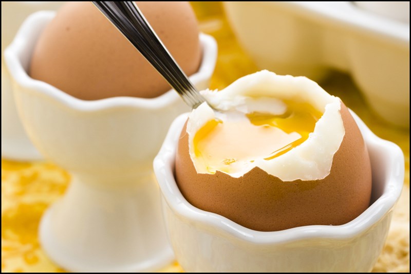 egg