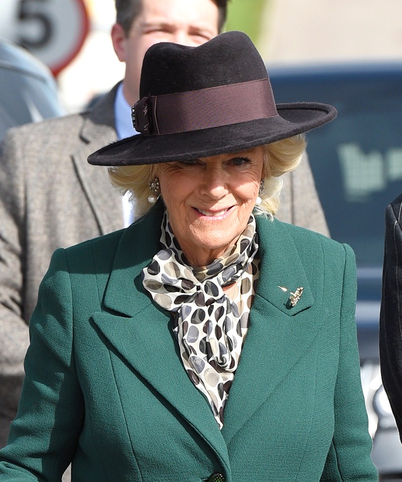 Camilla, dutchess of Cornwall