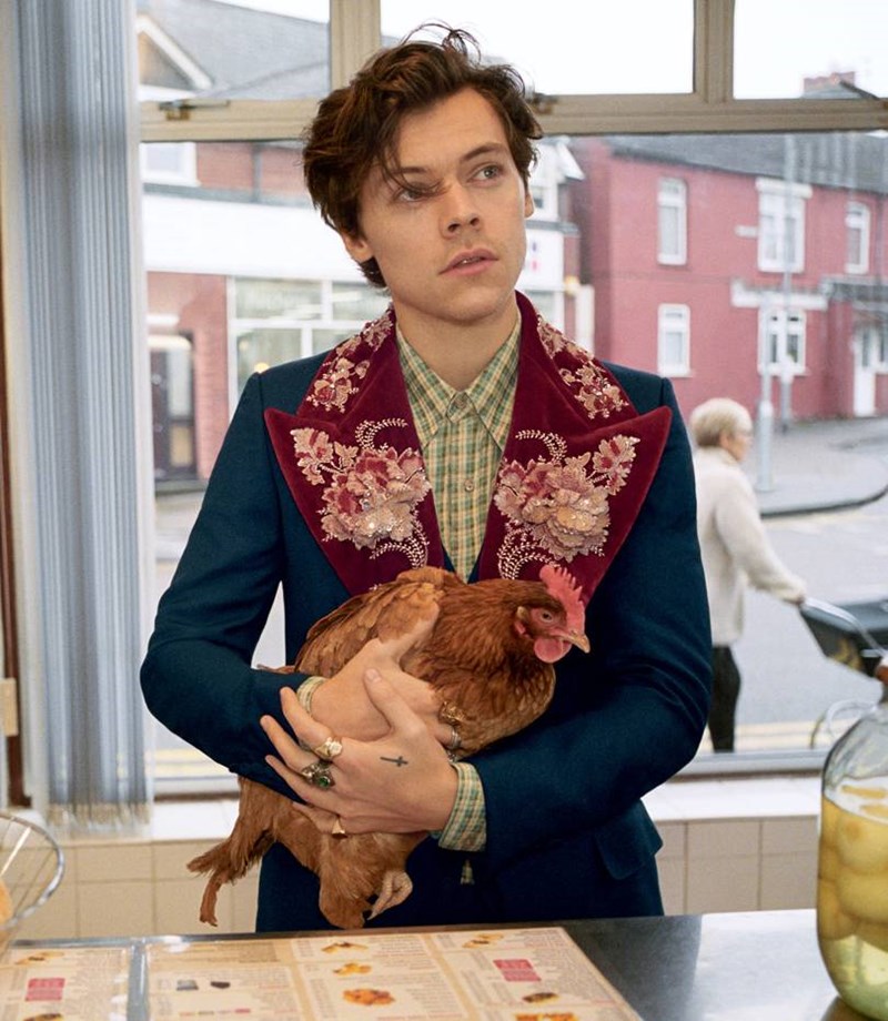 harry styles