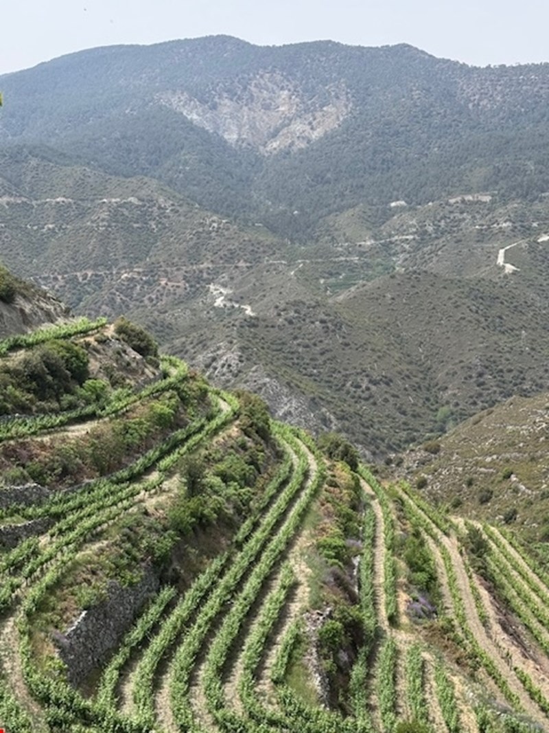 zagka