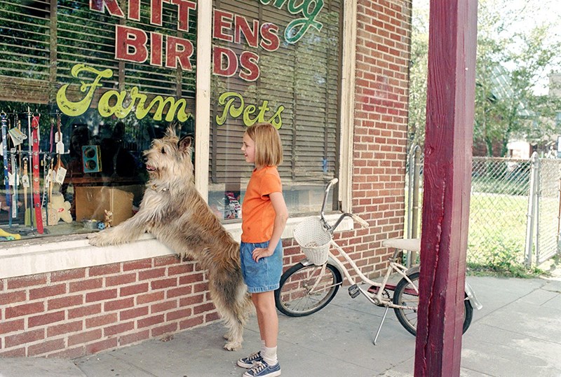 Because of Winn-Dixie, 2005