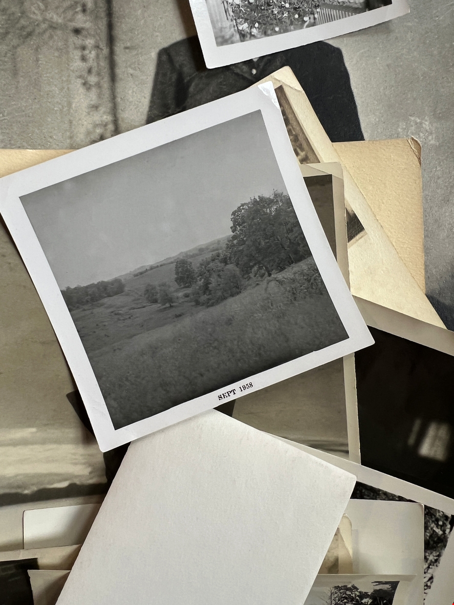 O λόγος που η Diane Keaton αποφάσισε να μην παντρευτεί μετά τον χωρισμό από τον Al Pacino - εικόνα 1