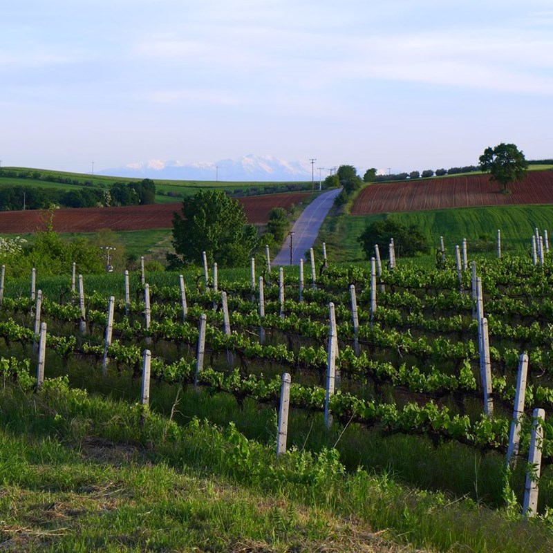 Γουμένισσα Χατζηβαρίτη