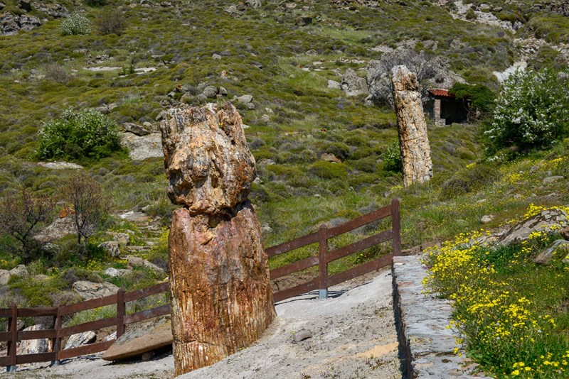 Γεωπάρκο Λέσβου