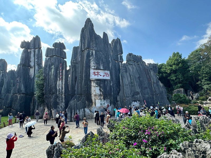 Stone Forest
