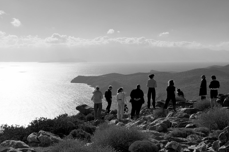 ιδρυμα μαμιδακη
