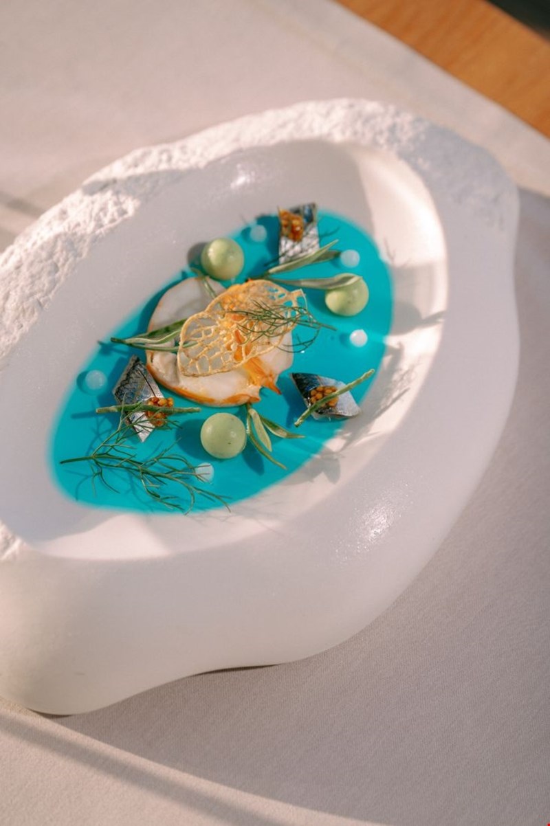 Nights Of Gastronomy