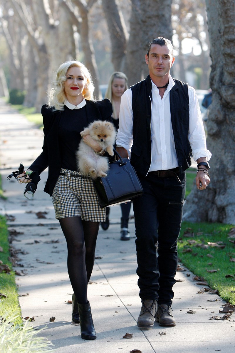 Gwen Stefani - Gavin Rossdale