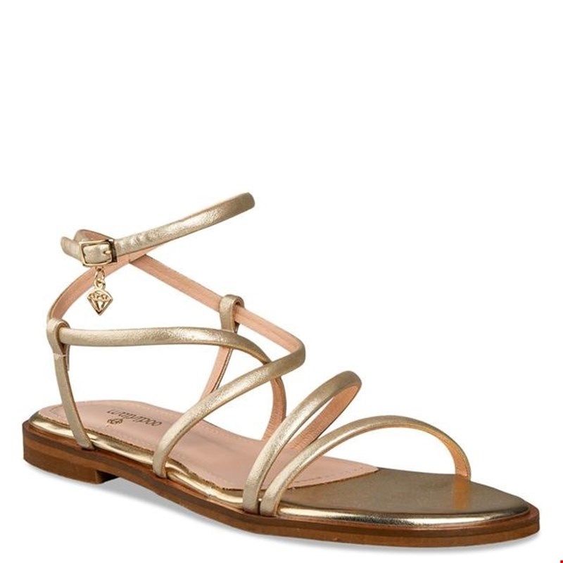 envie shoes