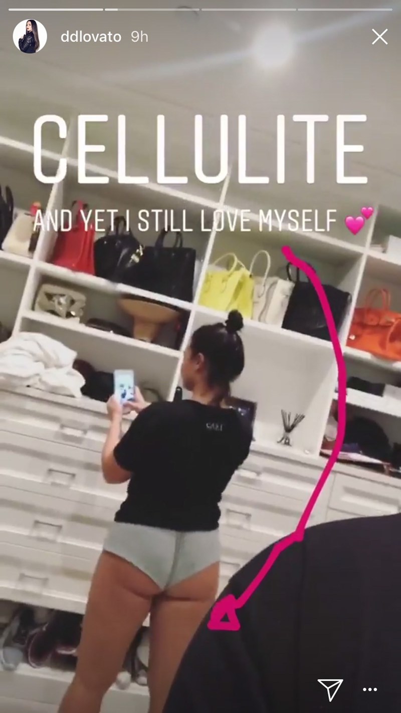 Demi Lovato Instastories